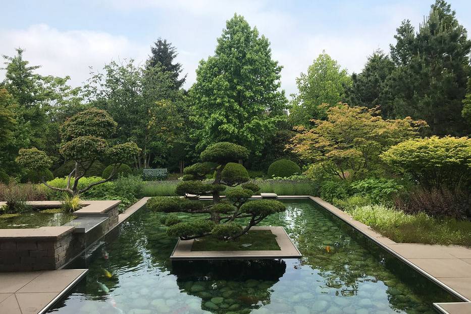 IMG_5794_15_700pixel