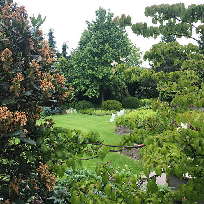 IMG_5799_15_700pixel