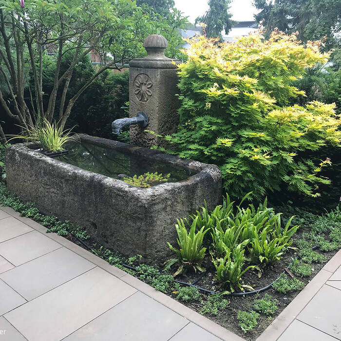 IMG_5802_10_700pixel