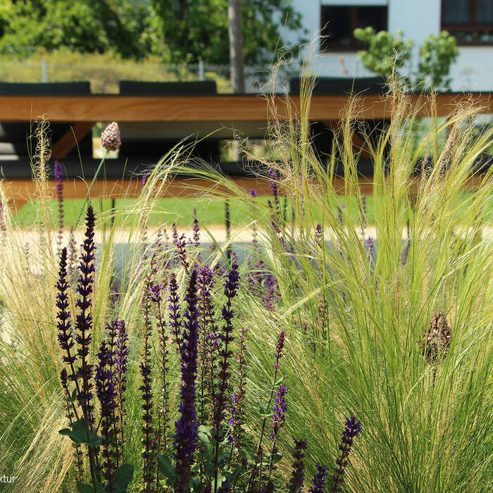 IMG_5853_15_700pixel