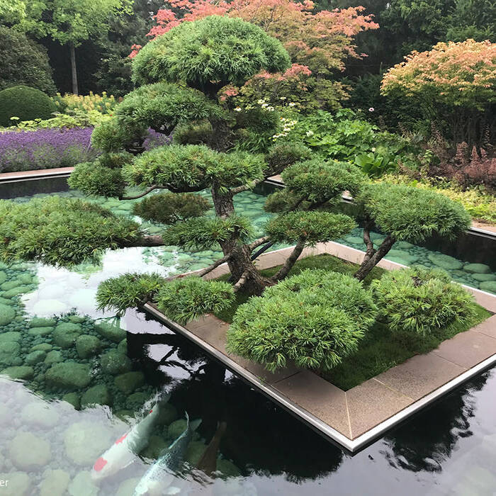 IMG_6024_10_700pixel