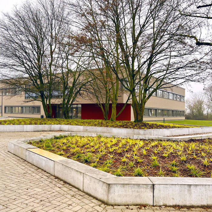 IMG_7079_19_700pixel