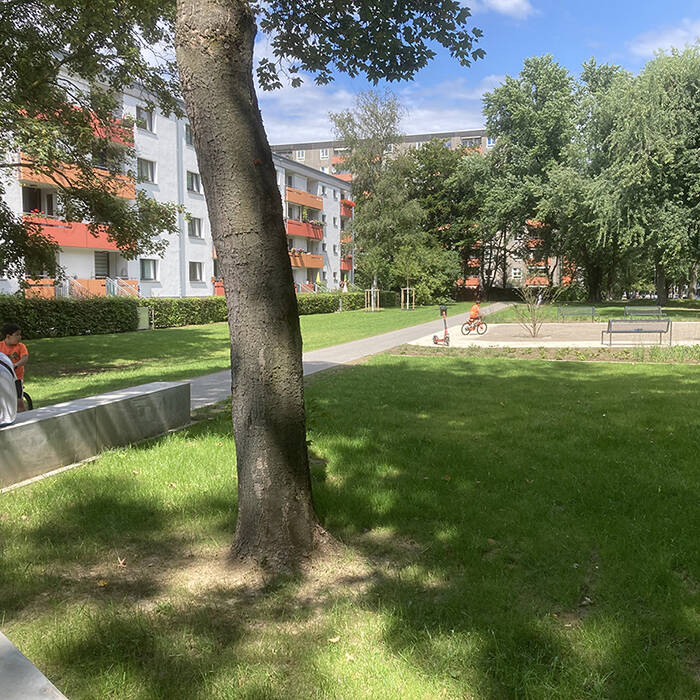 IMG_8227_10_700pixel