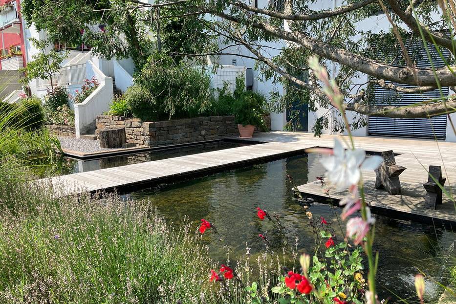 IMG_8470_15_700pixel