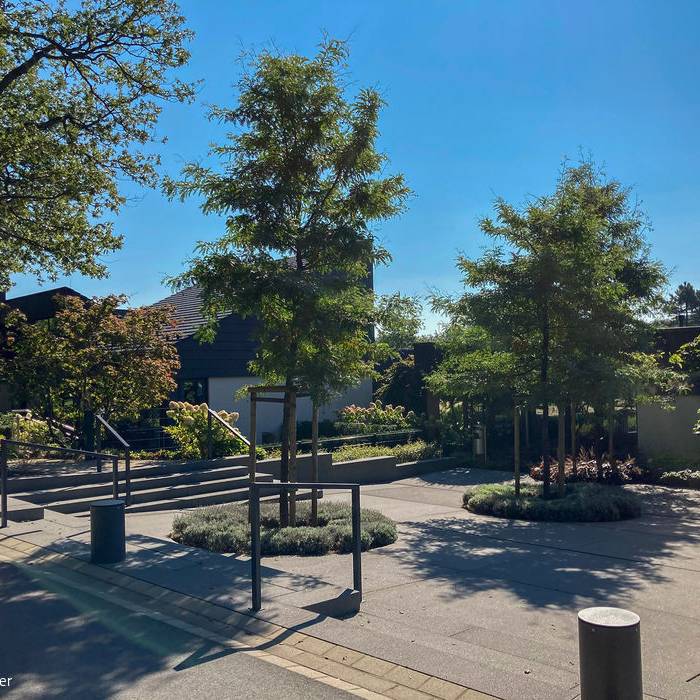 IMG_9189_19_700pixel