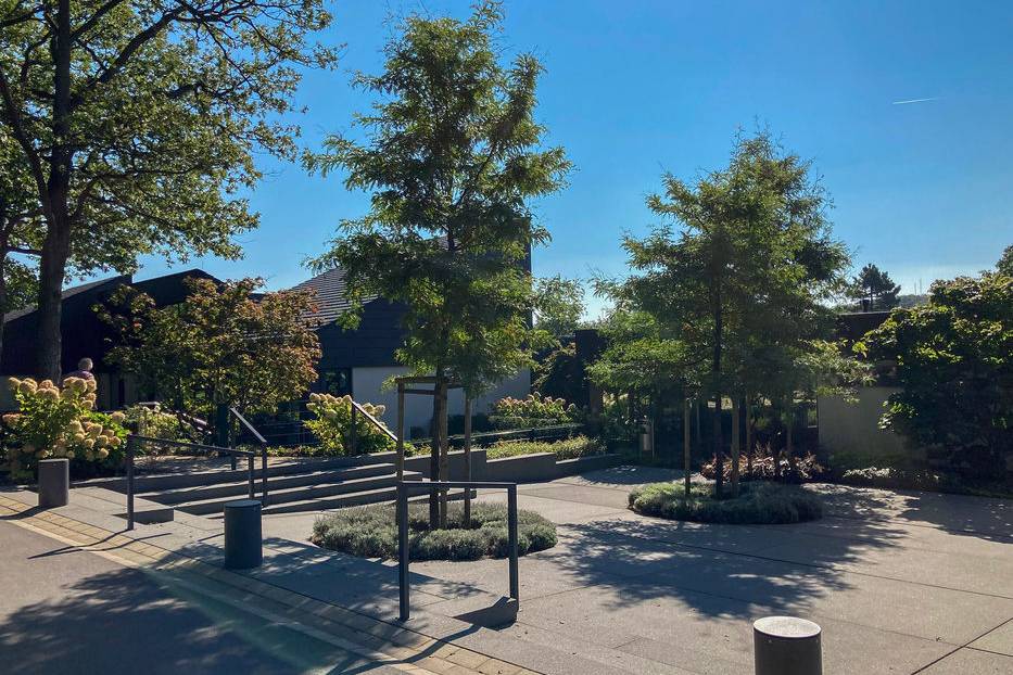 IMG_9189_19_700pixel