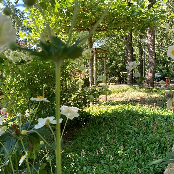 IMG_9233_15_700pixel