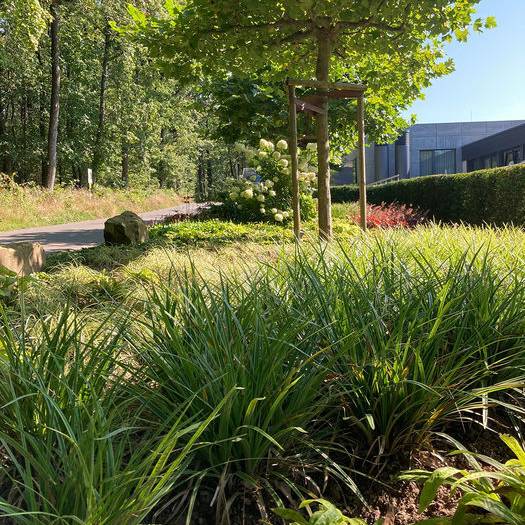 IMG_9236_10_700pixel