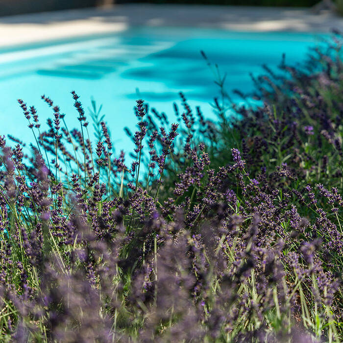 KAP05411_10_700pixel