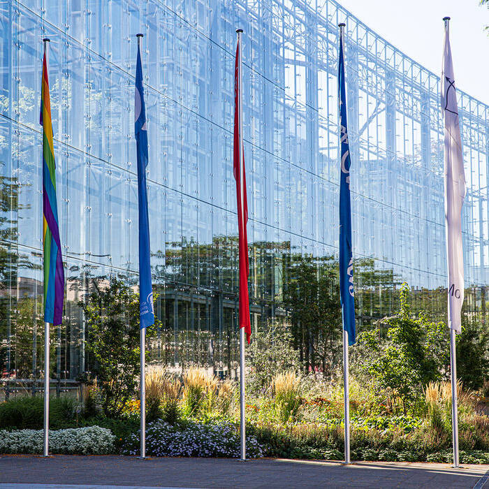 KF1A8130_15_700pixel