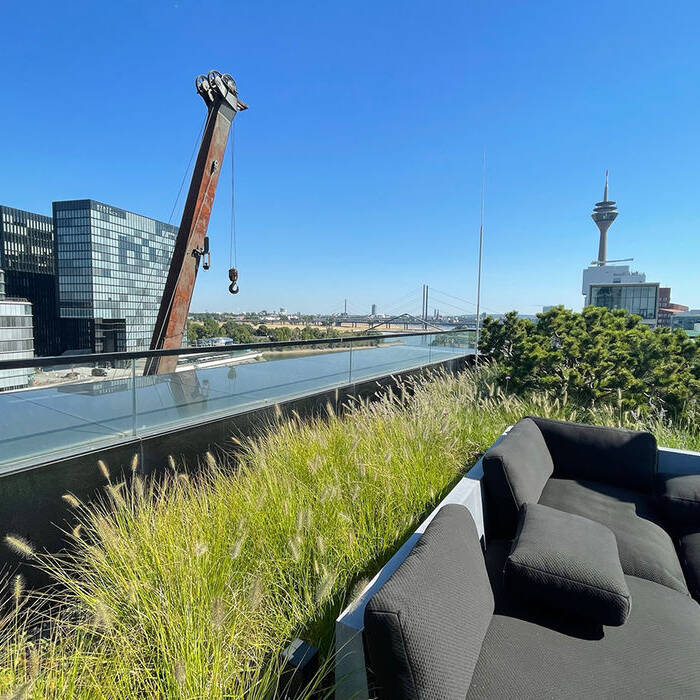 Kai8B_08_RalphRichter_10_700pixel