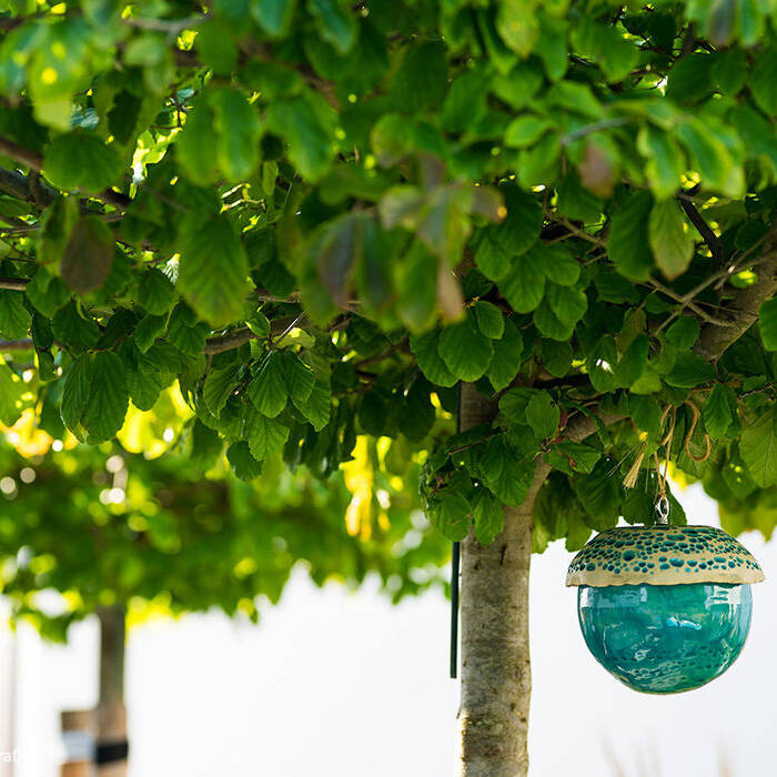 LydiaMitterhuberFotografie_GartenmitPool_Druck-24_10_700pixel