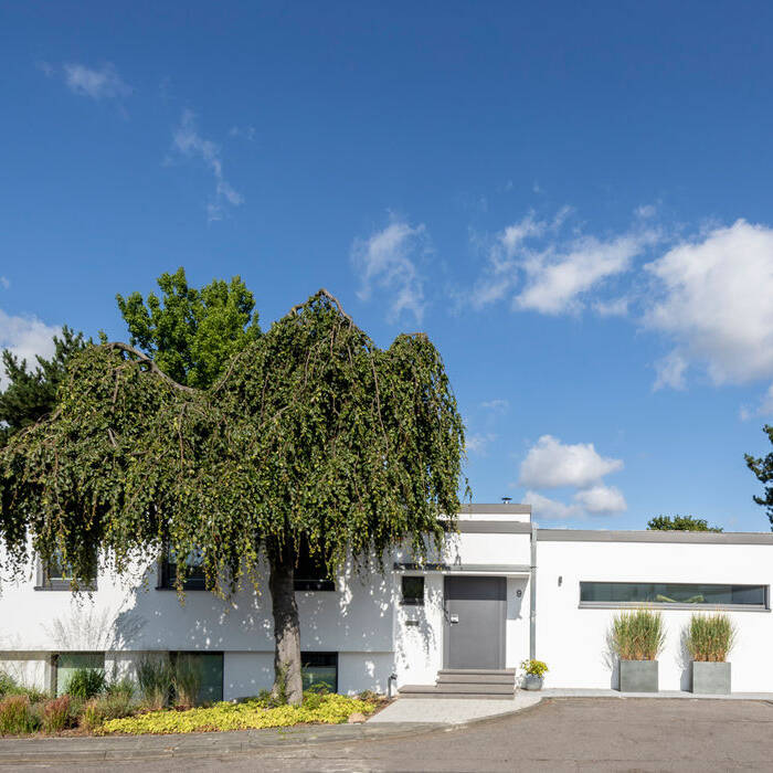 MBO-190819-TT-167_19_700pixel