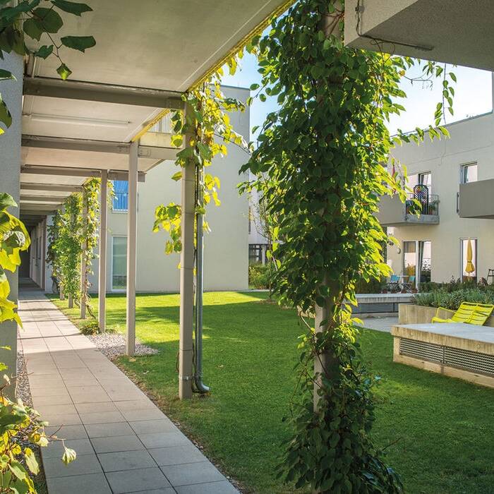 MGH-BA-1-3-_15_700pixel