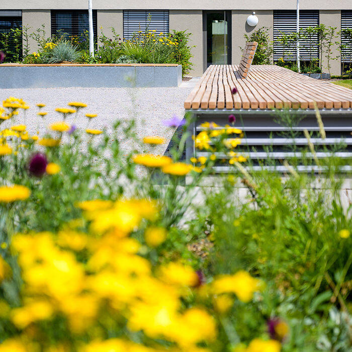 MH-Garten_0719_142_-C-RHermann_10_700pixel