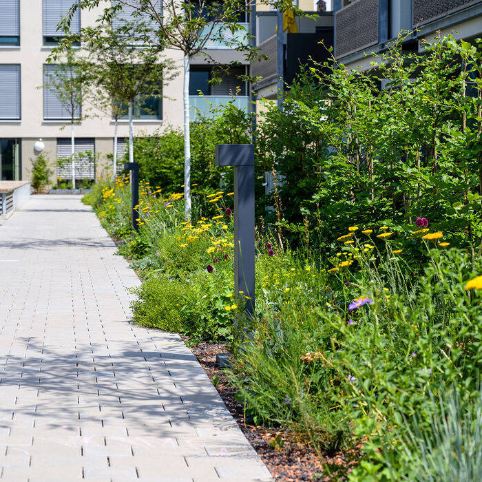 MH-Garten_0719_154_-C-RHermann_15_700pixel