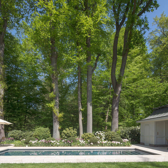 MLine_SCH_MUEL_24_ECI_15_700pixel