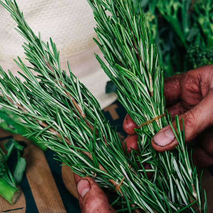 Malte-Frische-Kra-uter10_10_700pixel