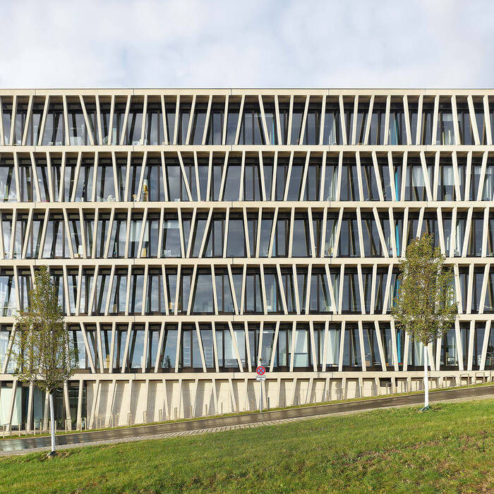 P0009546_15_700pixel