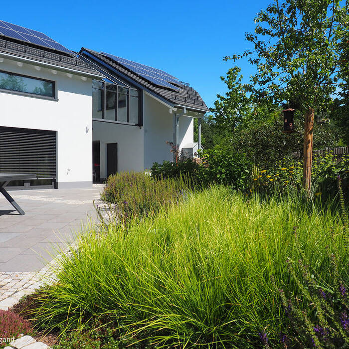 P1010417_b_15_700pixel