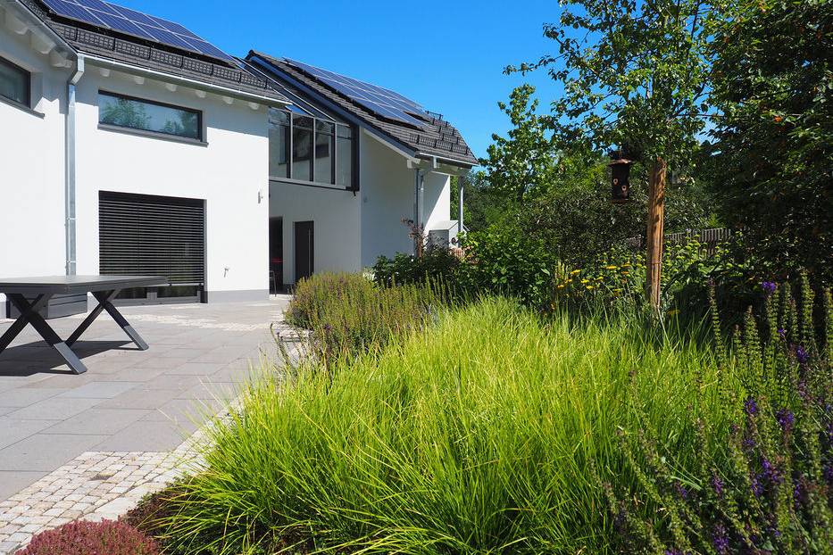 P1010417_b_15_700pixel