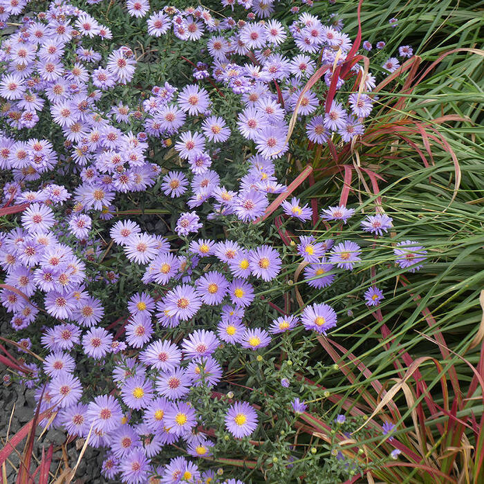 P1020053-rechte-Seite-unten_10_700pixel