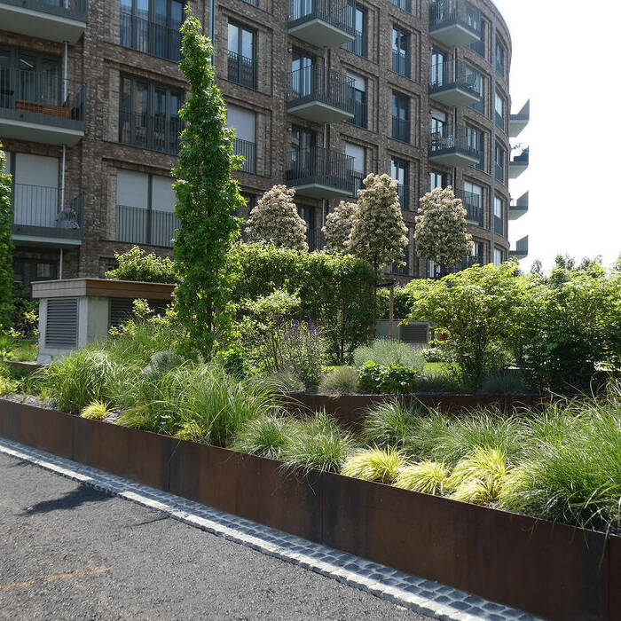 P1030838_15_700pixel