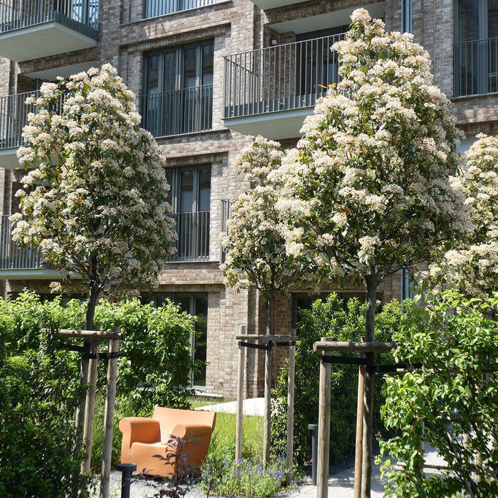 P1030846_15_700pixel