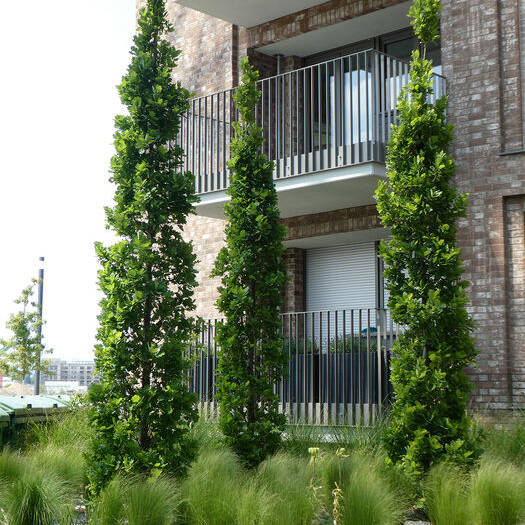 P1030871_10_700pixel