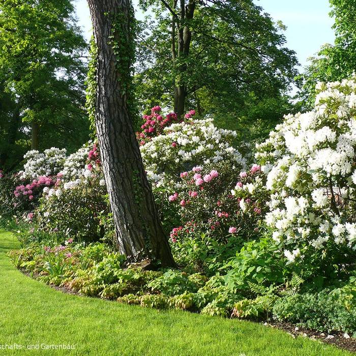 P1080596_10_700pixel