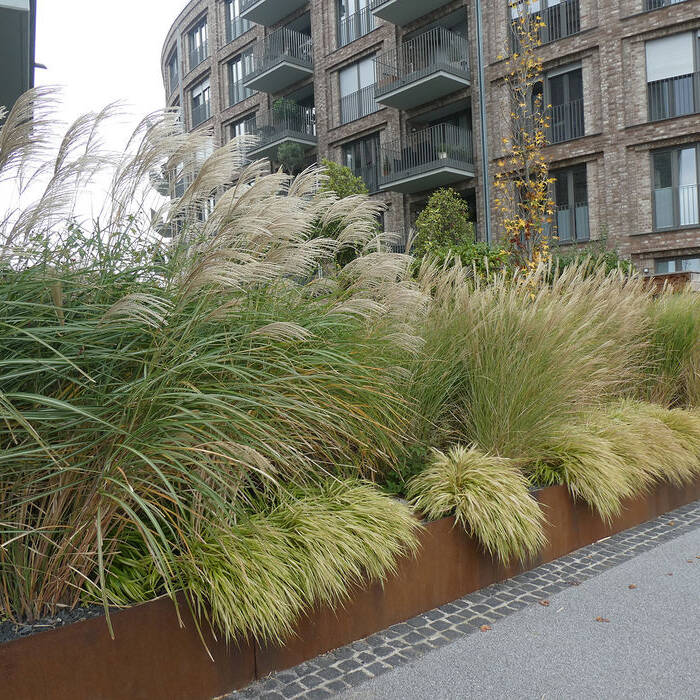 P1100838_15_700pixel