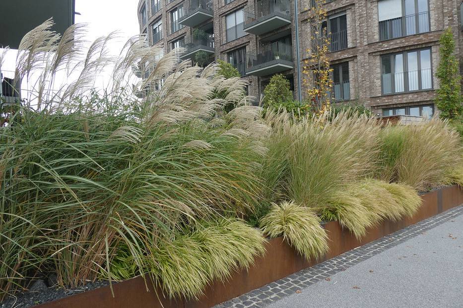 P1100838_15_700pixel