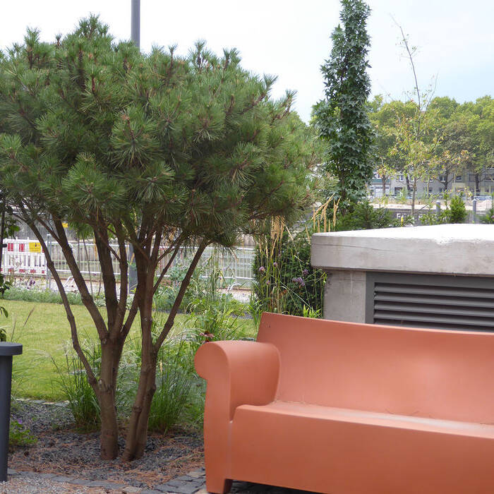 P1250715_15_700pixel