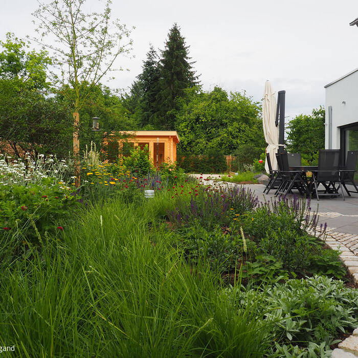 P7080308_b_15_700pixel