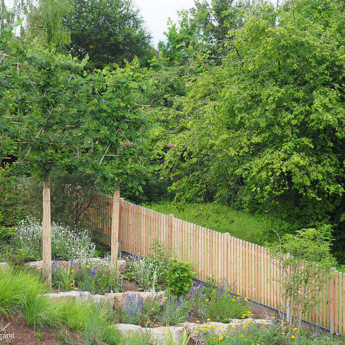 P7080322_15_700pixel