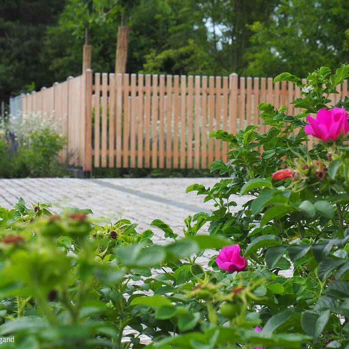 P7080327_10_700pixel