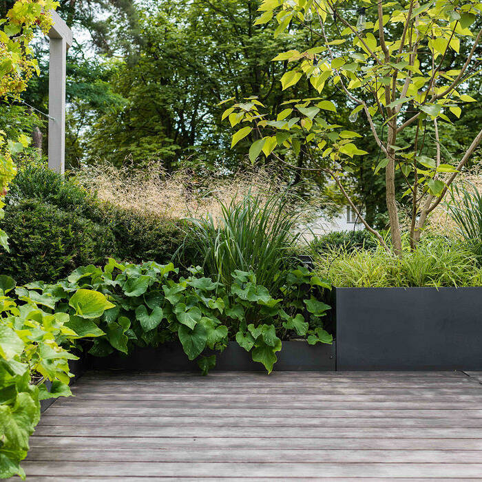 PHD_7070_15_700pixel