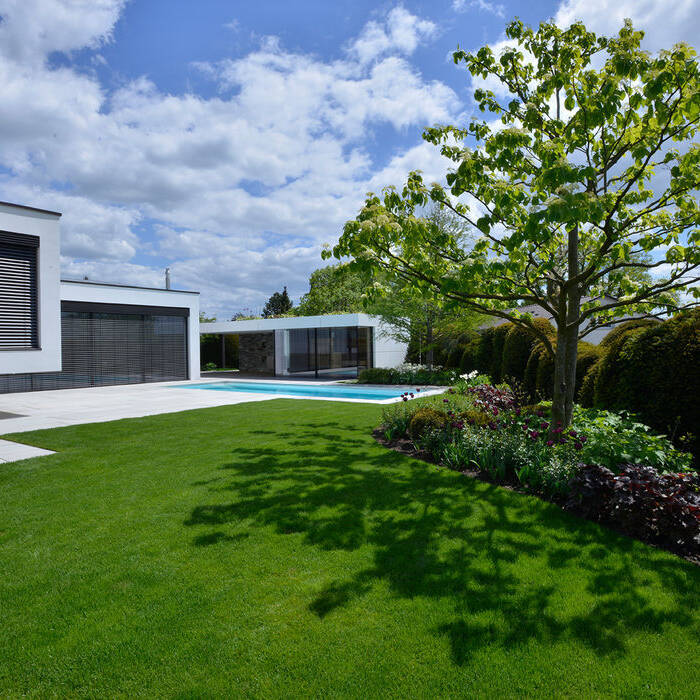 Panzer_20190513_DSC8968_15_700pixel