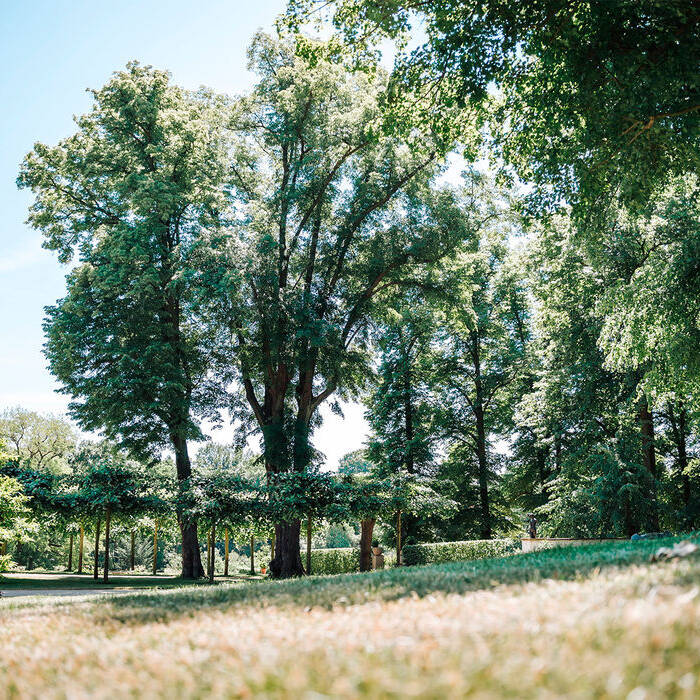 Park-der-Villa-Jacobs_15_700pixel