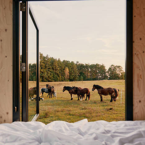 Raus_Cabin_An-der-Pferdeweide_069_10_700pixel