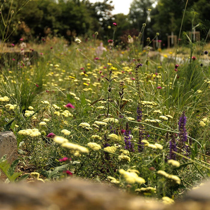 RevierparkMattlerbusch-_-Duisburg-_Chrost_18062023-13_10_700pixel