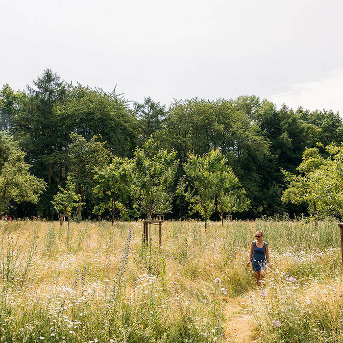RevierparkWischlingen_Dortmund_Sejk_18062023_-159_10_700pixel