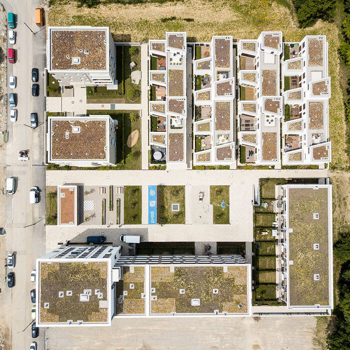 Ruth-Drexel2-06_10_700pixel