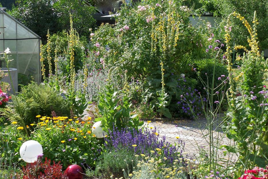 SAM_1641_15_700pixel