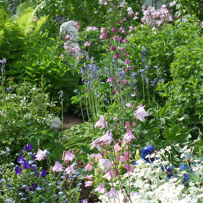 SAM_2209_15_700pixel