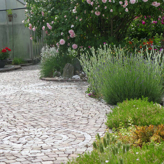 SAM_5189_10_700pixel