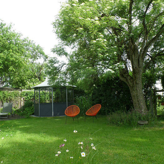 SAM_5201_10_700pixel