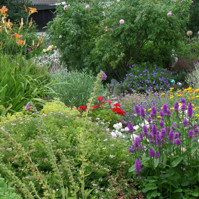 SAM_5214_15_700pixel