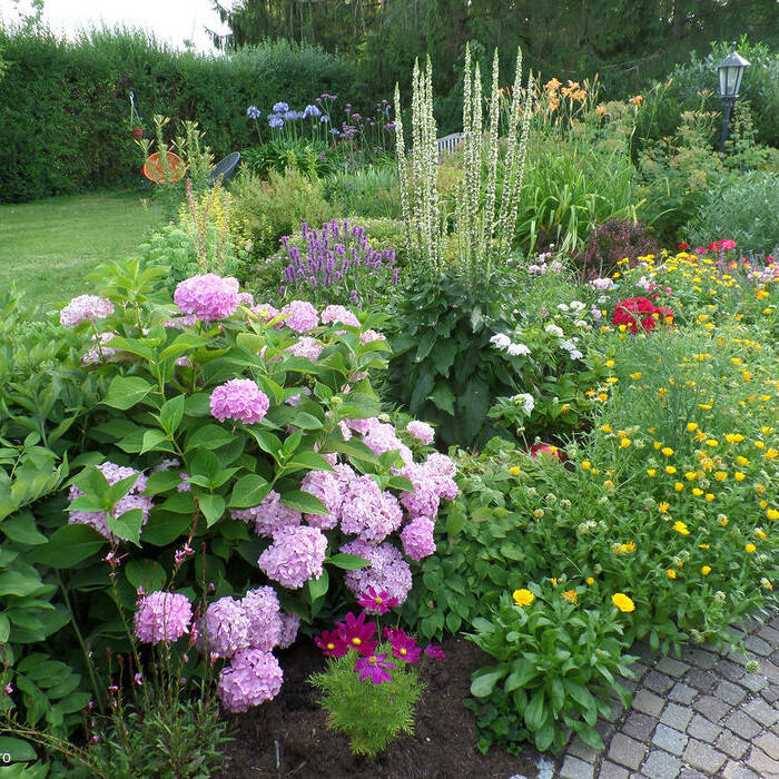 SAM_5232_15_700pixel