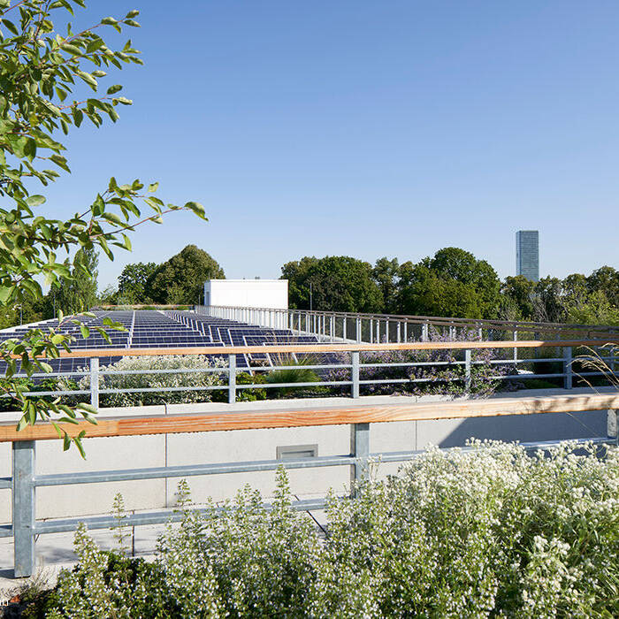 SM1222-073_10_700pixel